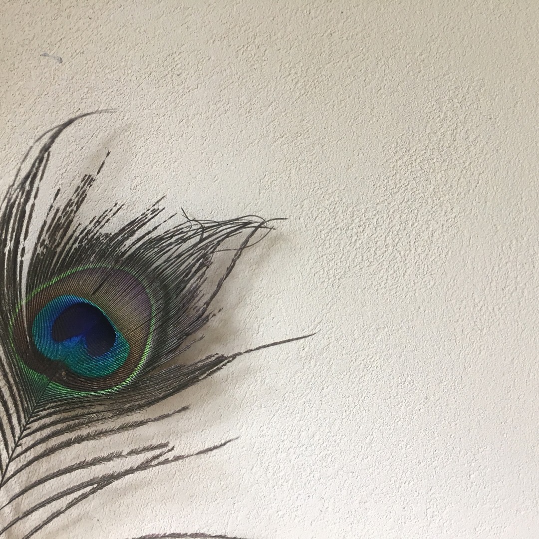 Contact Root Down Designs